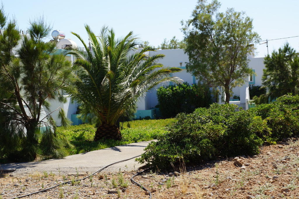 Notos Villas Frangokastello Oda fotoğraf